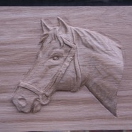 Horse Head